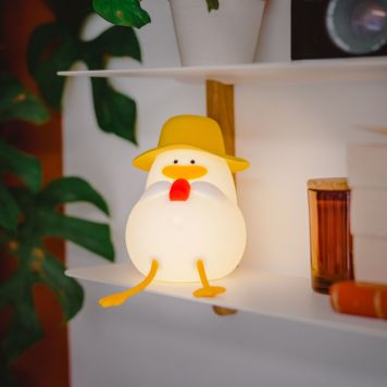 Lampe canard avec chapeau